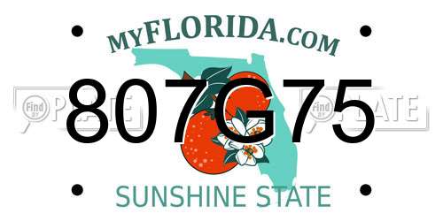 807G75 Florida License Plate