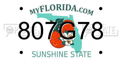 807G78 Florida License Plate