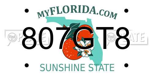 807GT8 Florida License Plate