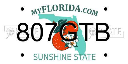 807GTB Florida License Plate