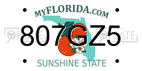 807GZ5 Florida License Plate