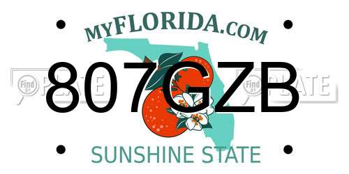 807GZB Florida License Plate