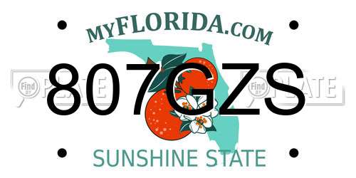 807GZS Florida License Plate