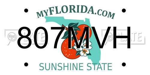 807MVH Florida License Plate