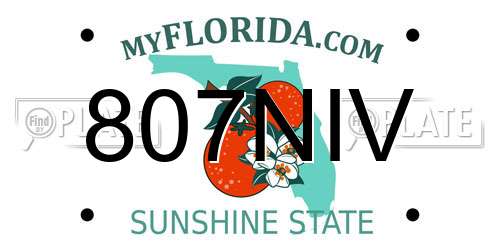 807NIV Florida License Plate