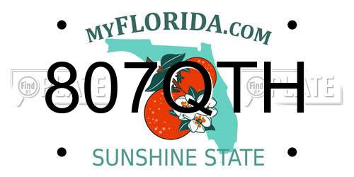 807QTH Florida License Plate