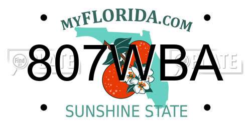 807WBA Florida License Plate