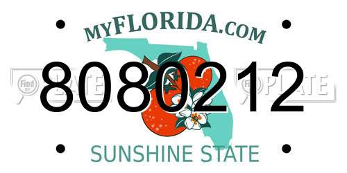 8080212 Florida License Plate