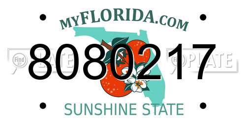 8080217 Florida License Plate