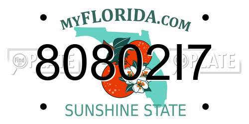 80802I7 Florida License Plate