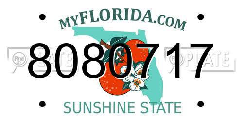 8080717 Florida License Plate