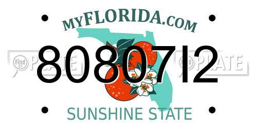 80807I2 Florida License Plate
