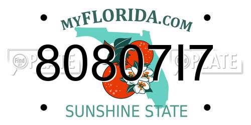80807I7 Florida License Plate