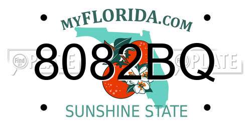 8082BQ Florida License Plate