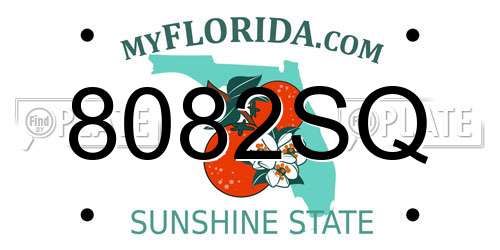 8082SQ Florida License Plate