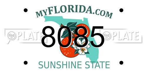8085 Florida License Plate