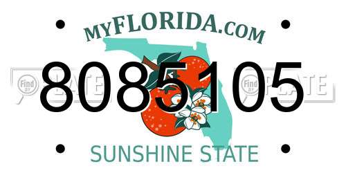 8085105 Florida License Plate