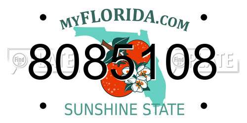 8085108 Florida License Plate