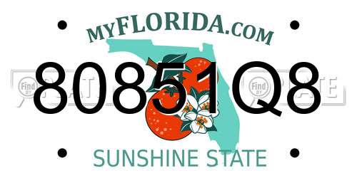 80851Q8 Florida License Plate