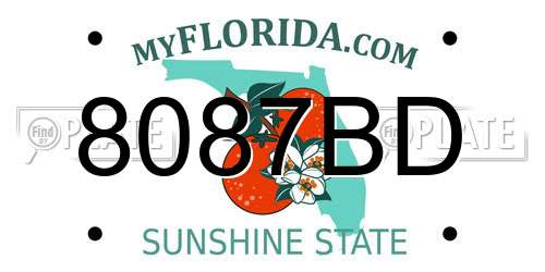 8087BD Florida License Plate