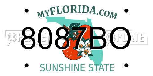 8087BO Florida License Plate