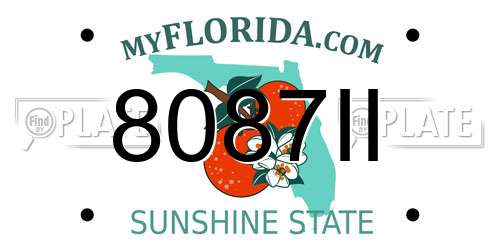 8087II Florida License Plate