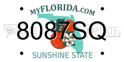 8087SQ Florida License Plate