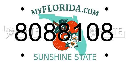 8088108 Florida License Plate