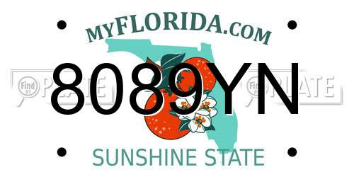 8089YN Florida License Plate