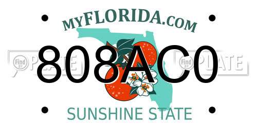 808AC0 Florida License Plate