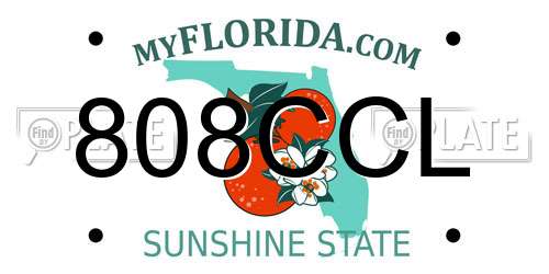 808CCL Florida License Plate