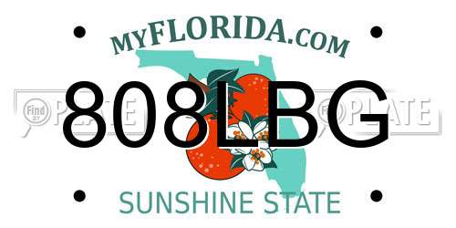 808LBG Florida License Plate