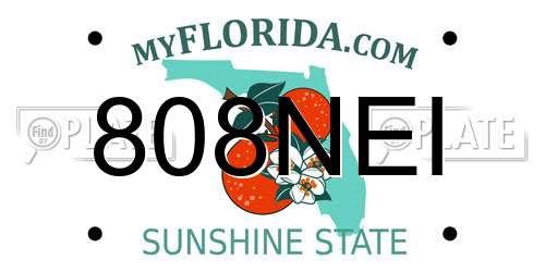 808NEI Florida License Plate