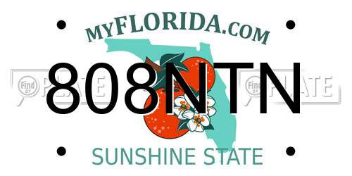 808NTN Florida License Plate