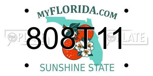 808T11 Florida License Plate