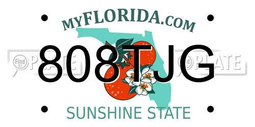 808TJG Florida License Plate