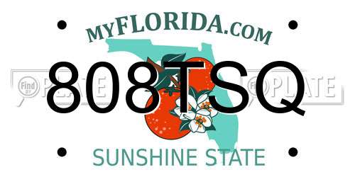 808TSQ Florida License Plate