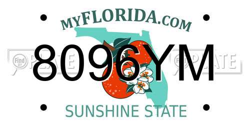 8096YM Florida License Plate