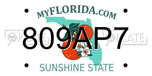 809AP7 Florida License Plate