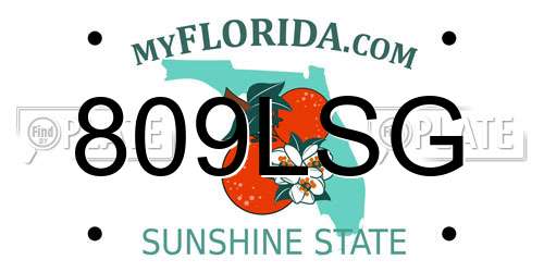 809LSG Florida License Plate
