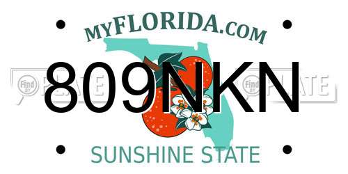 809NKN Florida License Plate