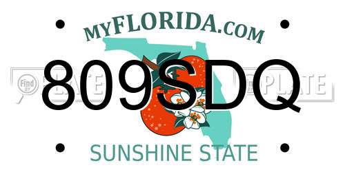 809SDQ Florida License Plate