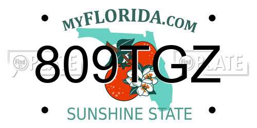809TGZ Florida License Plate