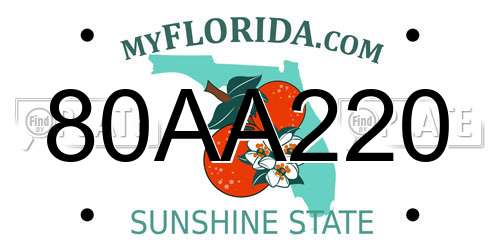 80AA220 Florida License Plate