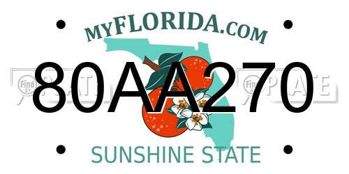 80AA270 Florida License Plate