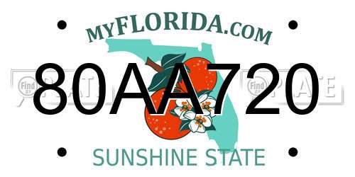 80AA720 Florida License Plate