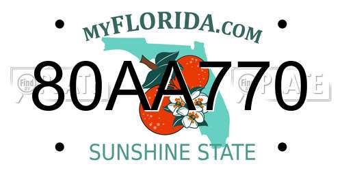 80AA770 Florida License Plate