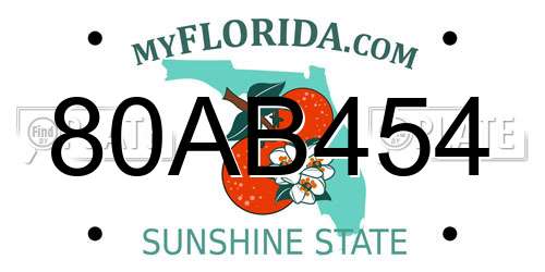 80AB454 Florida License Plate