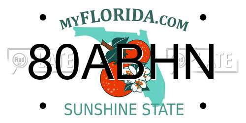 80ABHN Florida License Plate