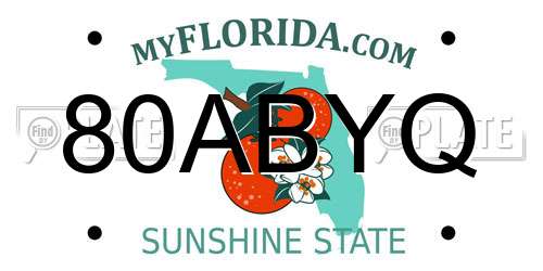 80ABYQ Florida License Plate